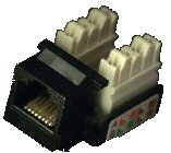 http://www.zingtech.com/features/networking/netrj45.jpg